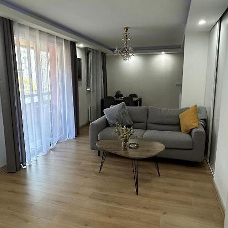 Jolie T3 Avec Parking Apartment ตูลูส ภายนอก รูปภาพ
